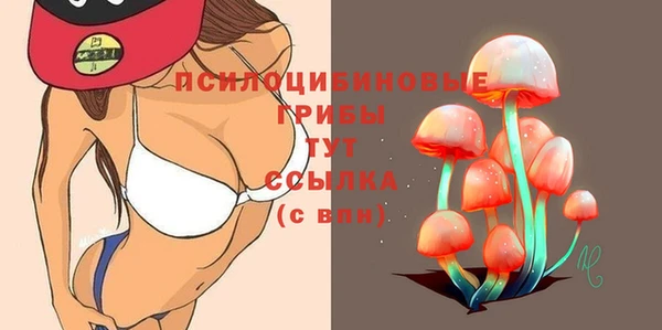 тгк Алзамай