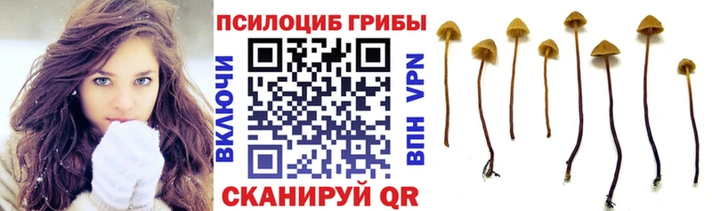 Псилоцибиновые грибы прущие грибы  это как зайти  Аргун 