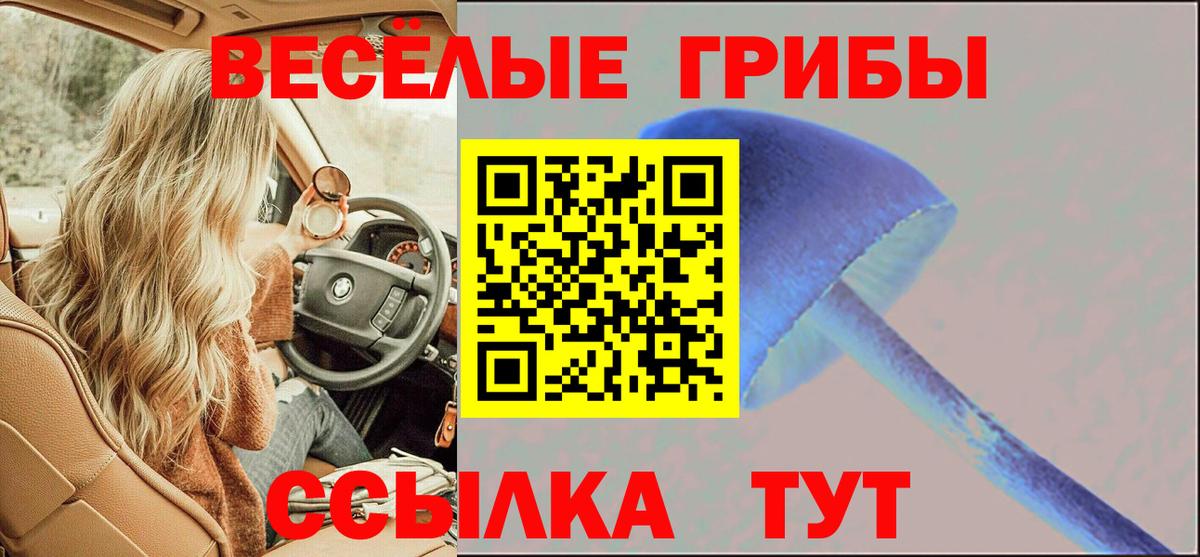 Псилоцибиновые грибы ЛСД  Псилоцибиновые грибы прущие грибы  Вход с VPN  Аргун 