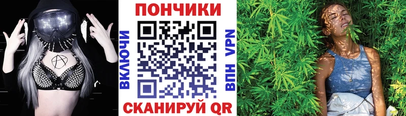 Шишки марихуана планчик Аргун